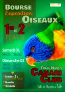 photo Bourse Exposition Oiseaux