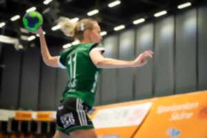 Handball Chauray-La Crèche contre Niort à Chauray