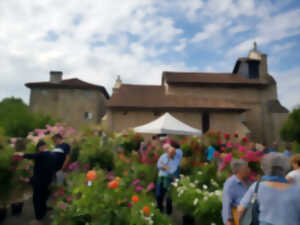 photo Fête de la Rose