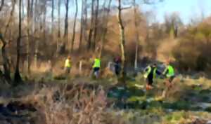 Chantier Nature dans la Commune de Beaumerie