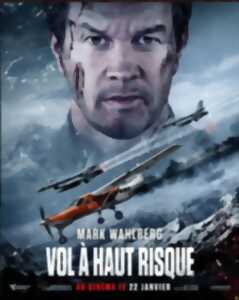 Cinéma - Vol à haut risque