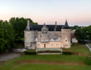 Voyage au coeur des Châteaux d'Europe : des résidences royales au château de Saint-Aulaye, symbole local de l'histoire médiévale