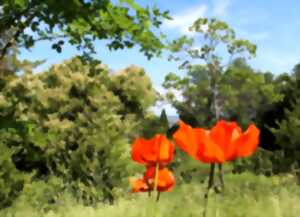 photo Rendez-vous aux jardins