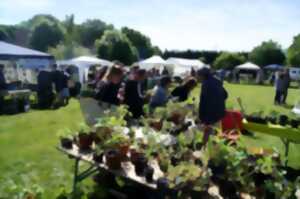 Fête de la nature à l'aéroclub