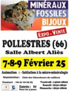 photo SALON DES MINERAUX