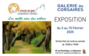 photo Exposition: les mille vies des arbres