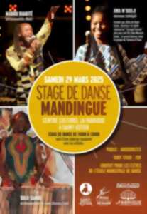 photo Stage de danse africaine