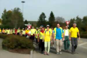 Marche Audax du jumelage Obernai - Gengenbach