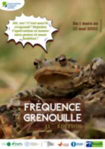 photo Fréquence Grenouille