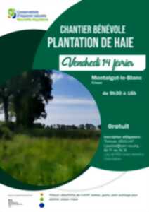 photo Chantier bénévole : plantation de haie