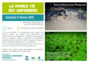 photo La double vie des amphibiens