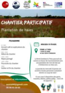 photo Chantier participatif: Plantation de haies