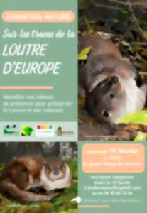 photo Sur les traces de la Loutre d'Europe