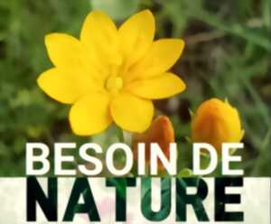 Fête de la nature