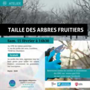 photo Taille des arbres fruitiers