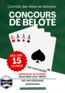 photo CONCOURS DE BELOTE