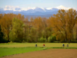 photo CYCLO MONTAGNARDE DE LIMOUX