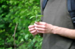 La nature nourricière