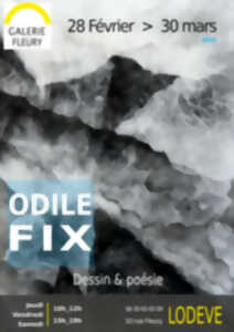 photo EXPOSITION ODILE FIX