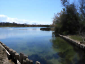 photo Du bassin de rétention au trésor de biodiversité