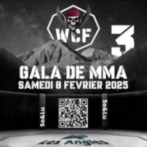 photo GALA MMA