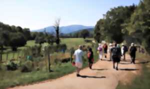 photo Balade à remonter le temps sur le sentier géologique