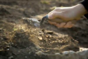 photo Colonies de vacances : Mini camp archéologie et nature