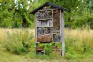 Atelier Fabrique ton hôtel à insectes