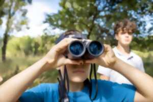 photo Inititiez-vous à l'observation des oiseaux