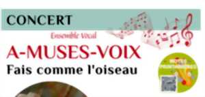 photo Concert : A-Muses-Voix