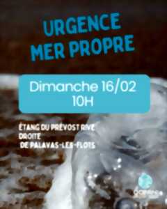 photo RAMASSAGE ET TRI AVEC OCEAN PROTECTION FRANCE