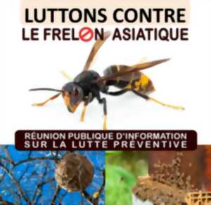 photo Réunion publique d'information : lutte préventive contre le frelon asiatique