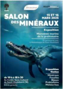 photo Salon des Minéraux