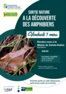 photo Sortie Nature : A la découverte des amphibiens