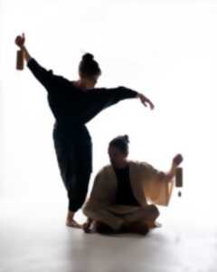 photo VISITE COMMENTEE + SPECTACLE DUO DANSE - NOUVEL ACCROCHAGE D'ART CONTEMPORAIN