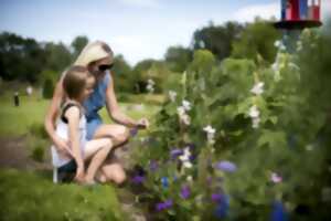 photo Visites guidées dans les jardins de l'Altwasser