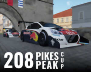 photo Course sur simulateur de pilotage - Peugeot 208 Pikes Peak