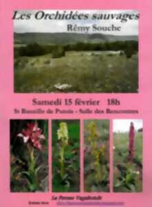 photo Conférence sur les Orchidées sauvages