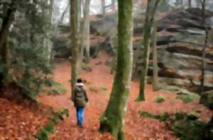 photo Animation Nature - Rando nature - Limoges