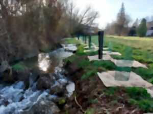 La restauration écologique de la végétation de bord de rivière