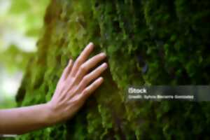 photo Balade nature