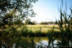 Eden 62 - Réserve Naturelle Régionale du Marais de  Condette - Bébés lecteurs