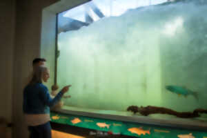 photo Visite guidée privilège des coulisses de la passe à poissons