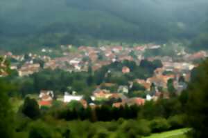 Sentiers Plaisir : Rothau, ville du fer