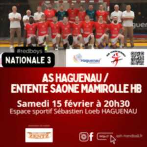 photo Match de handball