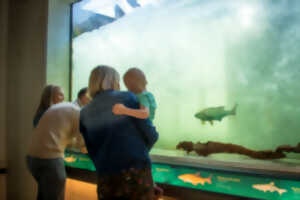 photo Visite guidée prestige de la passe à poissons, l'occasion d'éveiller sa curiosité et ses papilles !