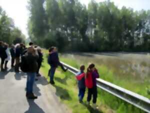 Sortie sur les oiseaux au bord de la Vienne