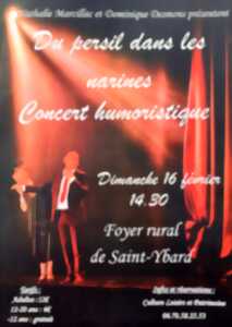 photo Concert humoristique : Du persil dans les narines