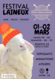 photo Festival Laineux