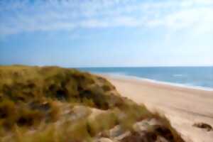 photo Les ateliers de la Maison de Grave : Attention dune fragile ! (Réservation obligatoire)